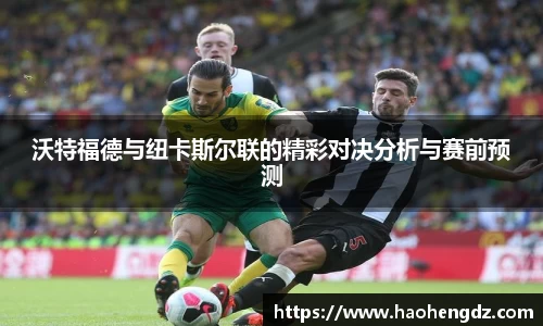 沃特福德与纽卡斯尔联的精彩对决分析与赛前预测